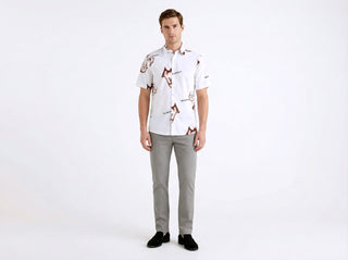 SHIRT AL23V-57  - Fashion  from Albione - Just 99 zł! Shop Now at Albione