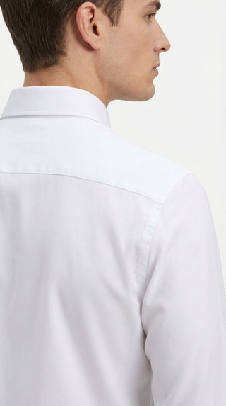 SHIRT AL23MF-13  - Fashion  from Albione - Just 159 zł! Shop Now at Albione