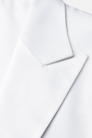 BLAZER SM0205  - Fashion  from Albione - Just 699 zł! Shop Now at Albione