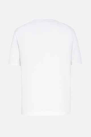 TSHIRT2401  - Fashion  from Albione - Just 210 zł! Shop Now at Albione